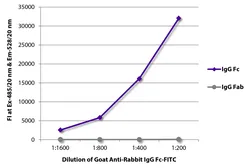 Goat Anti-Rabbit IgG (Fc) antibody, pre-adsorbed (FITC). GTX04148-06