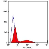 Anti-CD34 antibody [MEC14.7] (FITC) used in Flow cytometry (FACS). GTX75411