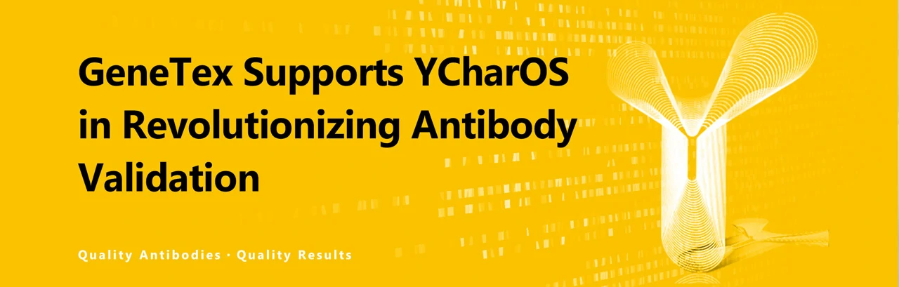 GeneTex Supports YCharOS in Revolutionizing Antibody Validation