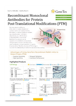 Recombinant Monoclonal Antibodies for Protein Post-Translational Modifications (PTM)