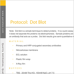 m6a dot blot protocol