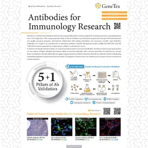 Antibodies for Immunology Research