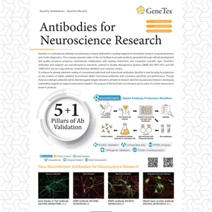 Antibodies for Neuroscience Research