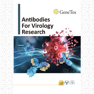 Antibodies For Virology Research