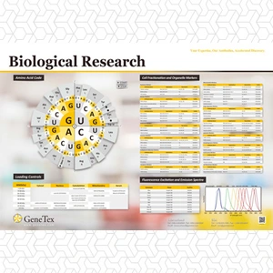 Biological Research