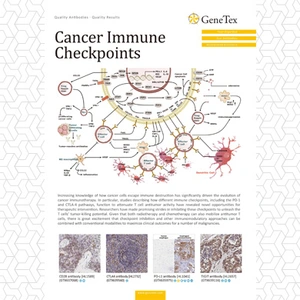 Cancer Immune Checkpoints