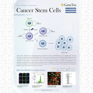 Cancer Stem Cells