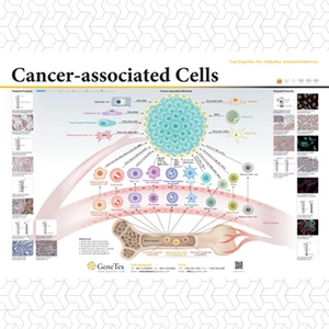 Cancer-associated Cells