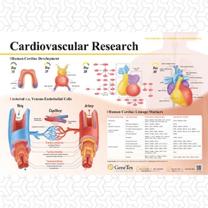 Cardiovascular Research