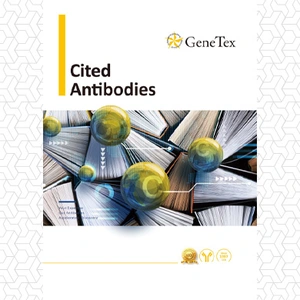 Cited Antibodies