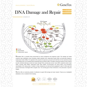 DNA Damage and Repair