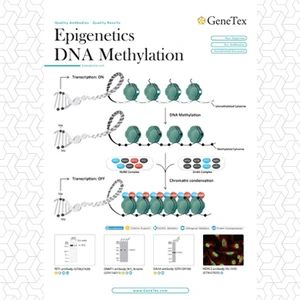 Epigenetics DNA Methylation