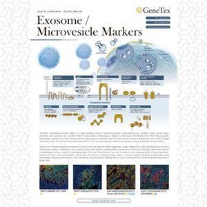 Exosome / Microvesicle Markers