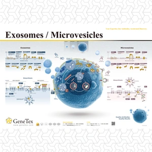 Exosomes & Microvesicles