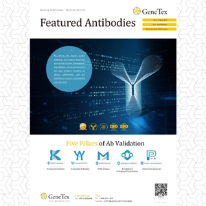 Featured Antibodies