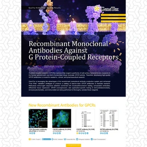 G Protein-Coupled Receptors (GPCRs)