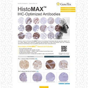 HistoMAX – IHC-Optimized Antibodies