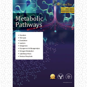 Metabolic Pathways