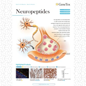 Neuropeptides