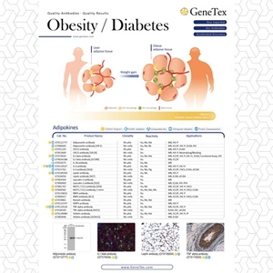 Obesity / Diabetes