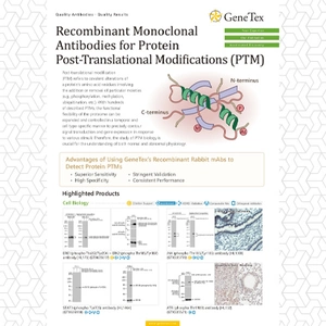 Recombinant Monoclonal Antibodies for Protein Post-Translational Modifications (PTM)