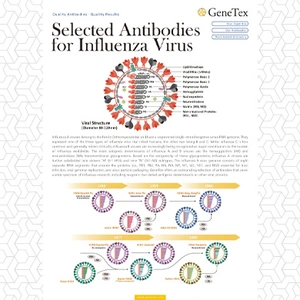 Selected Antibodies for Influenza Virus