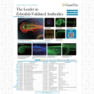 The Leader in Zebrafish-Validated Antibodies