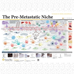 The Pre-Metastatic Niche