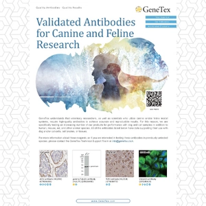 Validated Antibodies for Canine and Feline Research