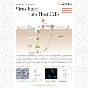 Virus Entry into Host Cells