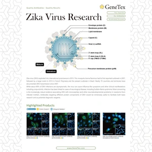 Zika Virus Research