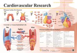 Cardiovascular Research poster