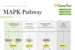 Pathway download the last version for apple