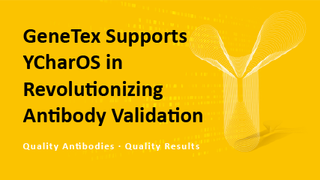 GeneTex Supports YCharOS in Revolutionizing Antibody Validation