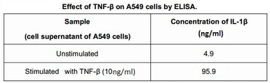 Human TNF beta protein, His tag (active). GTX00103-pro