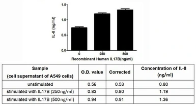 Human IL17B protein, His tag (active). GTX00134-pro