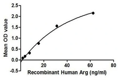 Human Arginase 1 protein, His tag. GTX00168-pro