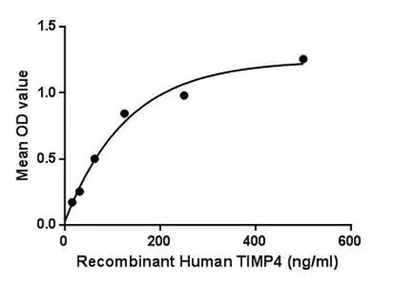 Human TIMP4 protein, His tag. GTX00229-pro