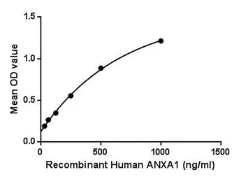 Human Annexin A1 protein, His tag. GTX00274-pro