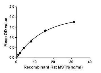 Rat GDF8 / Myostatin protein, His tag. GTX00360-pro