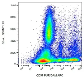 Anti-CD57 antibody [TB01] used in Flow cytometry (FACS). GTX00463