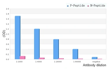 Anti-RyR2 (phospho Ser2808) antibody used in ELISA (ELISA). GTX00625