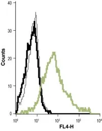 Anti-KCNN4 antibody [6C1] used in Flow cytometry (FACS). GTX00627