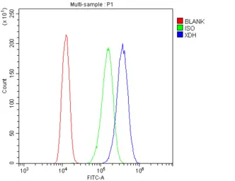 Anti-Xanthine Oxidase antibody used in Flow cytometry (FACS). GTX00652