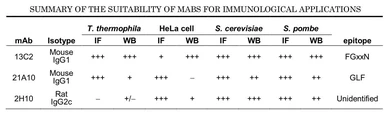 Anti-NUP98 antibody [21A10] used in  (). GTX00695