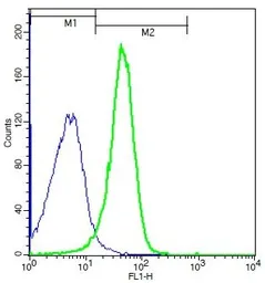 Anti-GPR43 antibody used in Flow cytometry (FCM). GTX00823