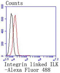 Anti-ILK antibody [SC68-04] used in Flow cytometry (FACS). GTX01046