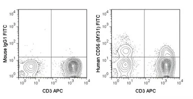 Anti-NCAM antibody [MY31] (FITC) used in Flow cytometry (FACS). GTX01477-06