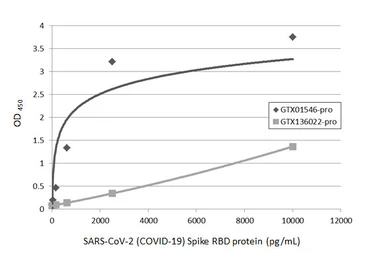 SARS-CoV-2 (COVID-19) Spike RBD protein, His tag (active). GTX01546-pro