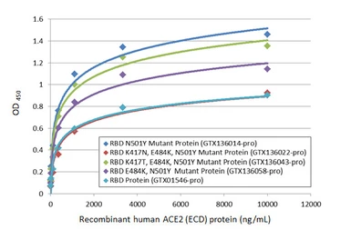 SARS-CoV-2 (COVID-19) Spike RBD protein, His tag (active). GTX01546-pro